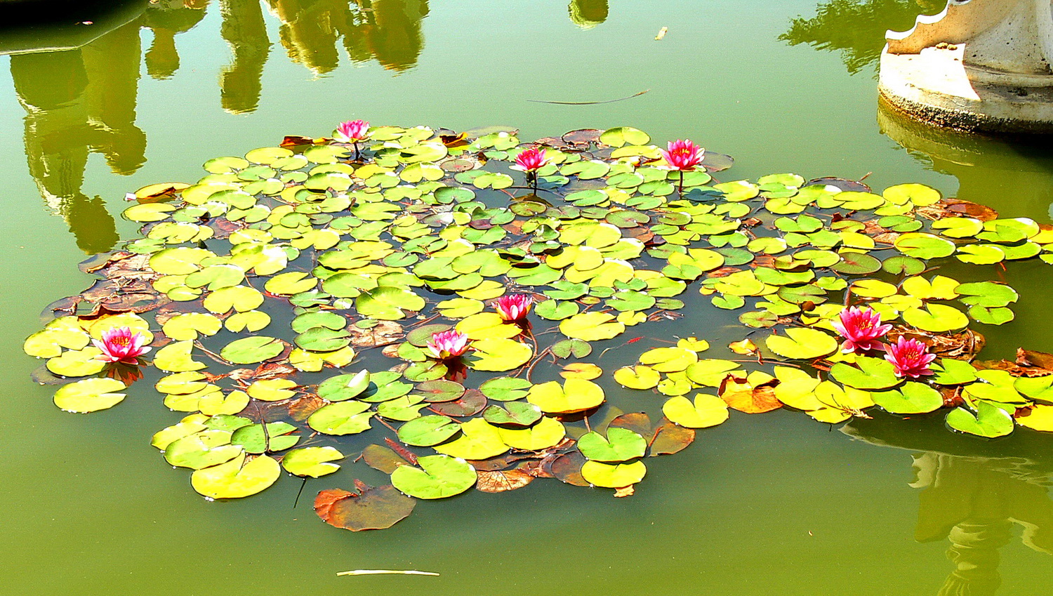 10 JARDINES NIKITA 03