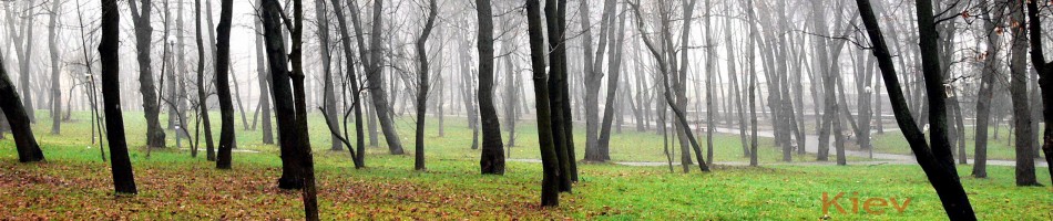 Instituto Politecnico