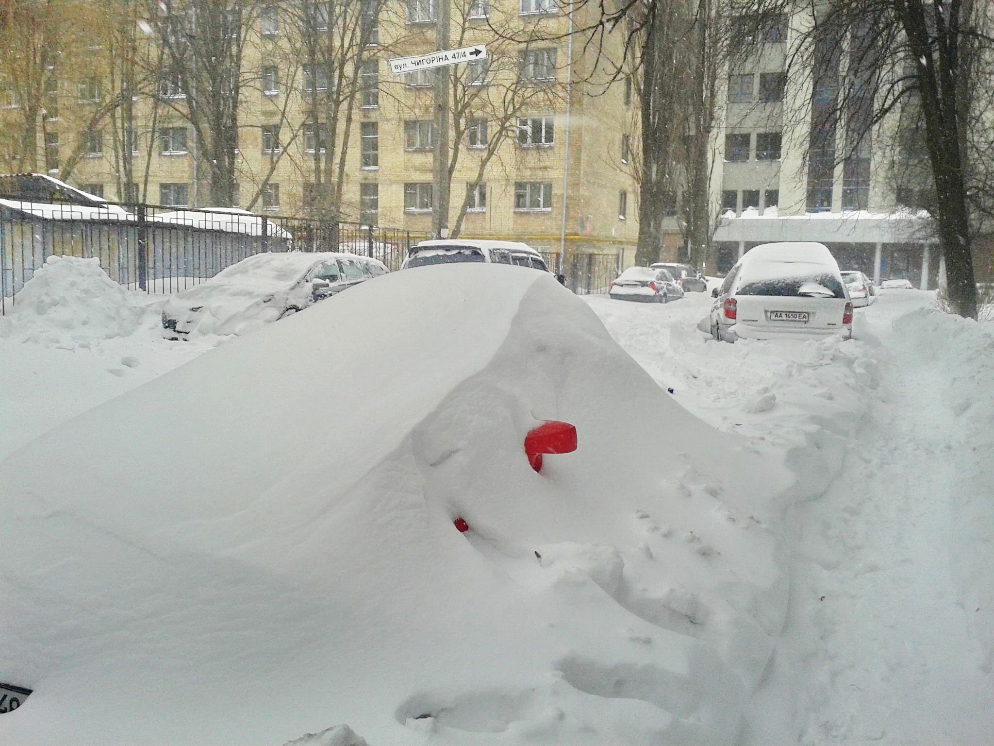 Foto:  Алёна Королёва. Los retrovisores sirven para identificar el coche
