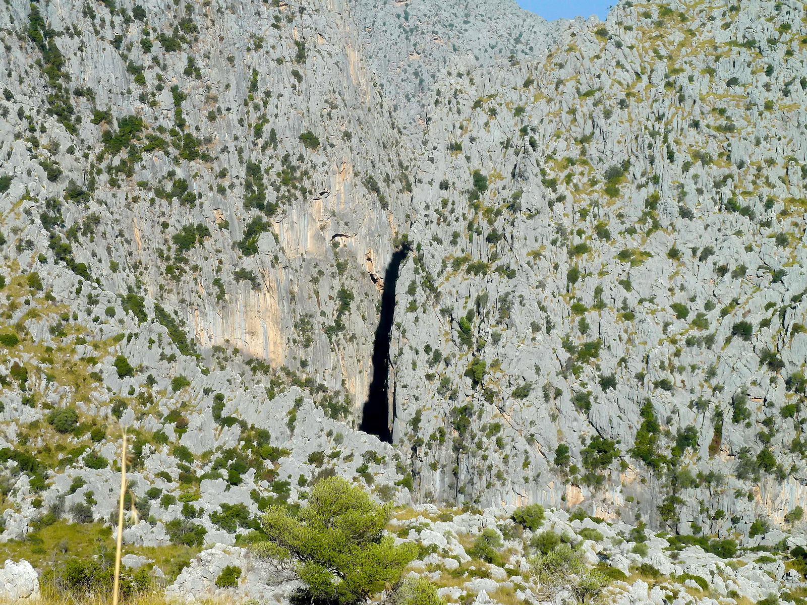Torrent de Pareis