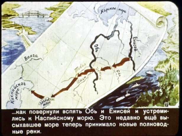 07 En el año 2017.jpg