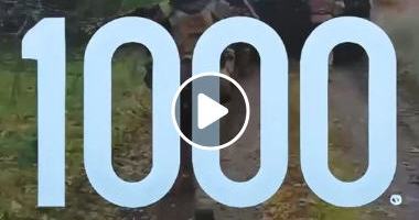 Ucrania: 1000 días de resistencia